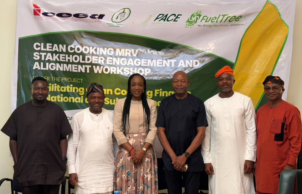 image-1024x656 FuelTree, PACE and ICEED Convene National Stakeholders to Advance Nigeria's Clean Cooking MRV and Carbon Market Agenda.
